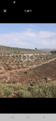 Lands for sale in Marj el-Zouhour - عقار للبيع طريق عام راشيا و حاصبيا