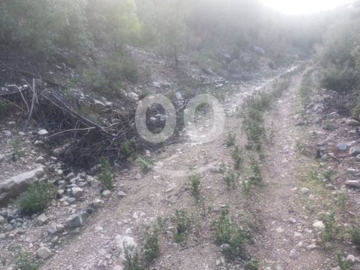 Lands for sale dans Tourza - Land for Salesharri Mazraat Assaf Bsharri Area 4350Sqm