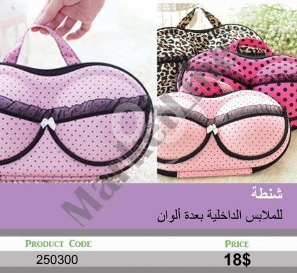 Clothes, Footwear & Accessories in Mansoura - شنطة منظمة للملابس الداخلية بألوان متنوعة للسفر | Multi-Color Underwear Organizer Travel Bag