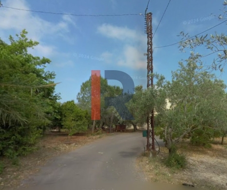 R9-3221 Land for Sale in Qalhat – Koura (385 m², Planted with Trees) — 2