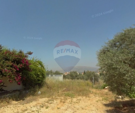Lands for sale dans Nakhleh - R9-3222 Land for Sale in Nakhleh - Koura أرض للبيع في نخلة الكورة (6200 m², Zoning 20/40)