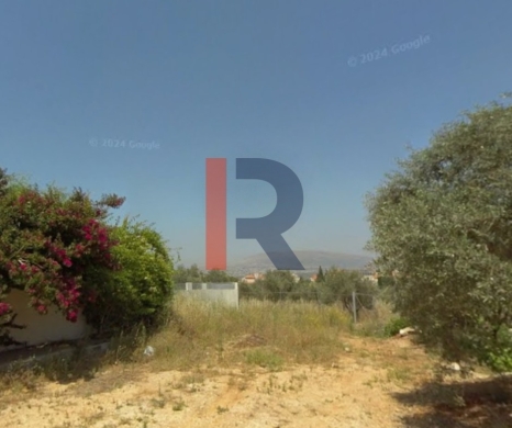 R9-3222 Land for Sale in Nakhleh – Koura (6200 m², Zoning 20/40)