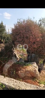 Lands for sale in Abou Samra - Prime 1620m² Corner Land for Sale in Abi Samra - Tripoli | أرض زاوية 1620م للبيع في طرابلس أبي سمراء