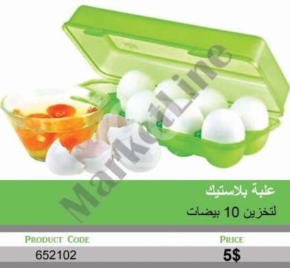 Autres biens dans Mansoura - علبة بلاستيك لتخزين وحماية 10 بيضات لون أخضر | Green Plastic Egg Storage Case for 10 Eggs