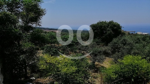 Lands for sale in Barbara - Land for Sale Berbara Jbeil Area 1107Sqm