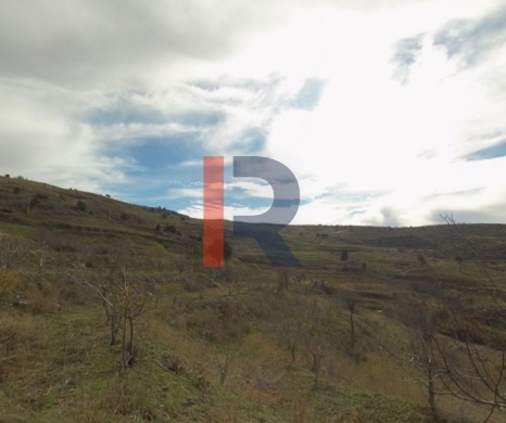 R9-3233 Land for Sale in Fnaidek Akkar – 4,500 m², Agricultural — 2