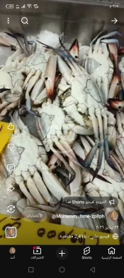 Food & Drink in Ain el-Remmaneh - سوق السمك الكرنتينا