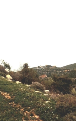 Lands for sale in Jbeil - أرض استثمارية للبيع في خربة جبيل ٣٨٢٦ م٢ مع زيتون | Investment Land in Jbeil Kharbe 3826sqm