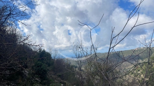 Lands for sale in Jbeil - أرض للبيع في خربة جبيل ٤٠٠٠ م٢ استثمار ٢٥/٥٠ لقطة | Prime 4000sqm Land for Sale in Jbeil Kharbe