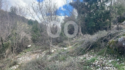 أرض للبيع في خربة جبيل ٤٠٠٠ م٢ استثمار ٢٥/٥٠ لقطة | Prime 4000sqm Land for Sale in Jbeil … — 7
