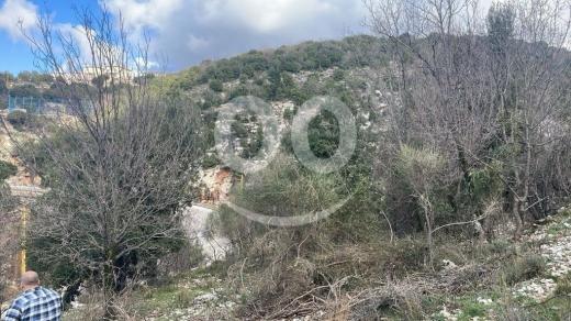 أرض للبيع في خربة جبيل ٤٠٠٠ م٢ استثمار ٢٥/٥٠ لقطة | Prime 4000sqm Land for Sale in Jbeil … — 5