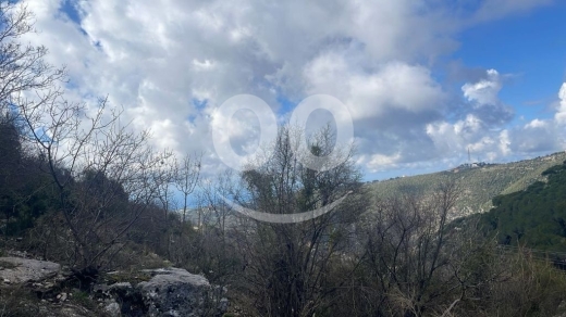 أرض للبيع في خربة جبيل ٤٠٠٠ م٢ استثمار ٢٥/٥٠ لقطة | Prime 4000sqm Land for Sale in Jbeil … — 3