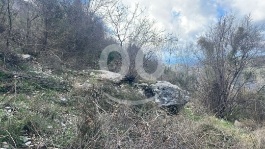 أرض للبيع في خربة جبيل ٤٠٠٠ م٢ استثمار ٢٥/٥٠ لقطة | Prime 4000sqm Land for Sale in Jbeil … — 6