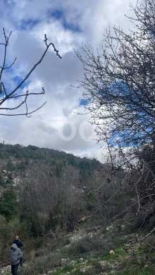 أرض للبيع في خربة جبيل ٤٠٠٠ م٢ استثمار ٢٥/٥٠ لقطة | Prime 4000sqm Land for Sale in Jbeil … — 2