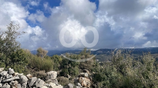 أرض استثمارية ضخمة للبيع في خربة جبيل ١١٠٠٠ م٢ | Large 11,000sqm Investment Land for Sale… — 4