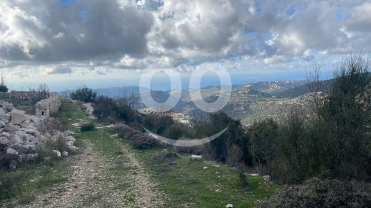 أرض استثمارية للبيع في خربة جبيل ٨٠٠٠ م٢ إطلالة مفتوحة | Prime 8000sqm Land for Sale in J… — 5