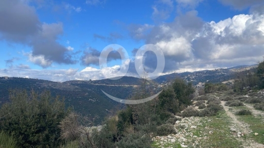 أرض استثمارية للبيع في خربة جبيل ٨٠٠٠ م٢ إطلالة مفتوحة | Prime 8000sqm Land for Sale in J… — 9