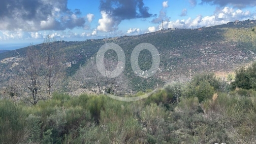 أرض استثمارية للبيع في خربة جبيل ٨٠٠٠ م٢ إطلالة مفتوحة | Prime 8000sqm Land for Sale in J… — 8