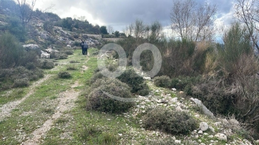 أرض استثمارية للبيع في خربة جبيل ٨٠٠٠ م٢ إطلالة مفتوحة | Prime 8000sqm Land for Sale in J… — 6