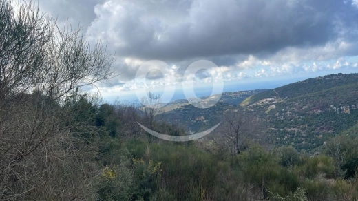 أرض استثمارية للبيع في خربة جبيل ٨٠٠٠ م٢ إطلالة مفتوحة | Prime 8000sqm Land for Sale in J… — 4