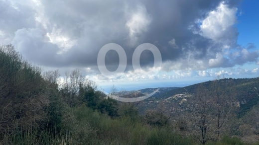 أرض استثمارية للبيع في خربة جبيل ٨٠٠٠ م٢ إطلالة مفتوحة | Prime 8000sqm Land for Sale in J… — 3