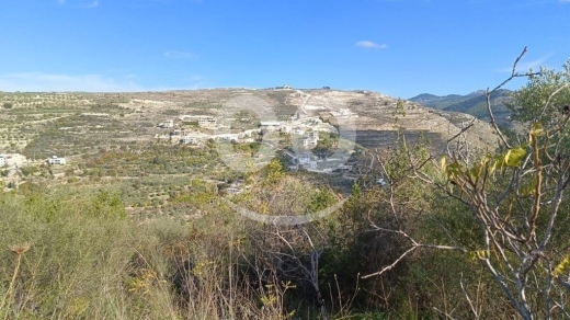 Lands for sale in Mharabiyeh - land in haytoule for sale