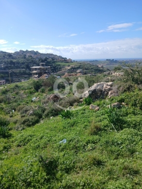 عقارات مفرزة للبيع في برج رحال قضاء صور - استثمار واعد | Subdivided Lands for Sale in Bur… — 2