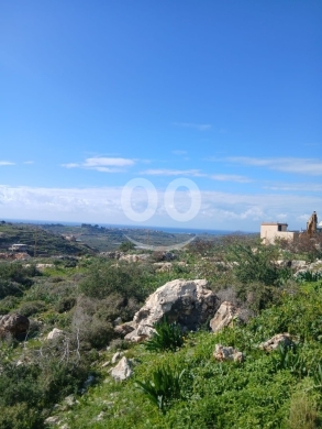 Lands for sale in Bourj Rahal - عقارات مفرزة للبيع في برج رحال قضاء صور - استثمار واعد | Subdivided Lands for Sale in Burj Rahal Tyr
