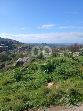 عقارات مفرزة للبيع في برج رحال قضاء صور - استثمار واعد | Subdivided Lands for Sale in Bur… — 3