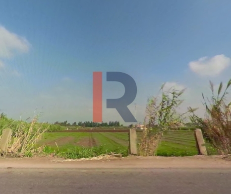 R9-3249 7,000 m² agricultural land for sale in Akkar Kolayaat Airport — 3