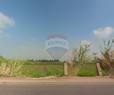 R9-3249 7,000 m² agricultural land for sale in Akkar Kolayaat Airport أرض للبيع في عكار م… — 3