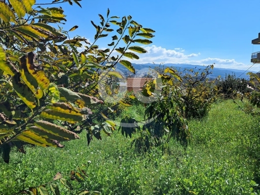 Lands for sale in Amchit - Land for Sale Aamchit Jbeil Area 525Sqm