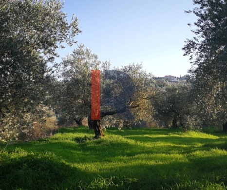 R9-3253 Land for Sale in Btaaboura Koura – 27,300 m²