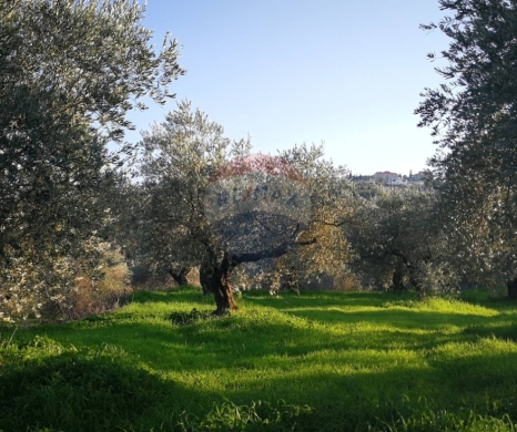 Commercials for sale in Btaaboura - R9-3253 Land for Sale in Btaaboura Koura - 27,300 m²أرض للبيع في بتعبورة الكورة - 27,300 متر مربع