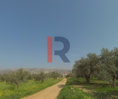 R9-3257 Land for Sale in Rachiine Zgharta – 2,929 m², Residential — 4