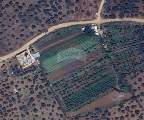 Lands for sale in Rachiine - R9-3257 Land for Sale in Rachiine Zgharta - 2,929 m², Residential أرض للبيع في راشعين زغرتا - 2,929 متر مربع، سكني