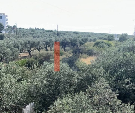 R9-3261 Land with Building for Sale in Hrayche Batroun — 2