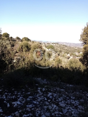 اراضي للبيع في حلتا - أرض للبيع في حلتا، البترون 927 م² | Land for Sale in Helta, Batroun 927 sqm