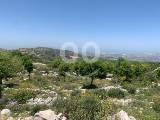 اراضي للبيع في اسيا - Land for Sale Aassia Batroun Area 1526Sqm