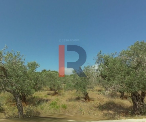 R9-3272 Land for Sale in Batroumine Koura – 2,258 m² m²,Fully Serviced — 2