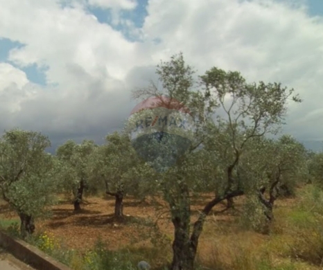 Lands for sale in Btouratij - R9-3274 Land for Sale in Btouratij Koura - 3,059 m أرض للبيع في بتوراتيج الكورة - 3,059 متر مربع