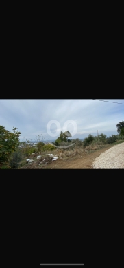 Lands for sale in Terbol - للبيع ارض تربل مساحة ١٨٠٠٠ م