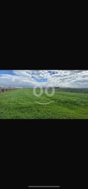Lands for sale dans Machta Hammoud - للبيع ارض مشتى حمود ١٥٠ الف متر