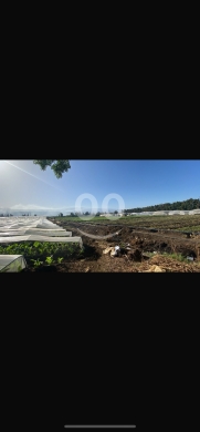 Lands for sale in Khorbet Jundi - للبيع ارض خربة الجندي مساحة ١٢١٤٤ م