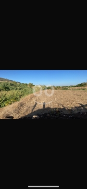 Lands for sale dans Berqayel - للبيع ارض برقايل ١١٢٣٠ م
