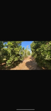 Lands for sale dans Mar Touma - للبيع ارض مارليت ملحم ٧٥٠٠ م على شارع عام