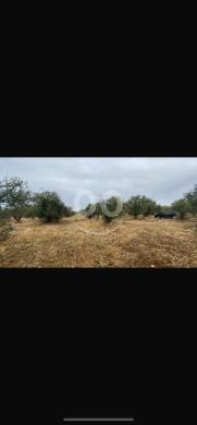 Lands for sale in JdeidehKatih - للبيع ارض جديدة القيطع بيت الحوش ٥٨٠٠ م مقابل دار الأيتام
