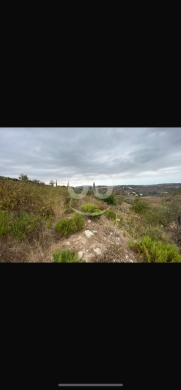 Lands for sale in Edbel - للبيع ارض عدبل مساحة ١٤٥٠٠ م صف ثاني من الشارع الرئيسي