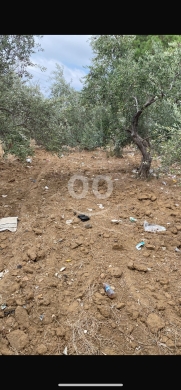 Lands for sale in Cheikh Mohamad - للبيع ارض الشيخ محمد ٣٧٨٠ م