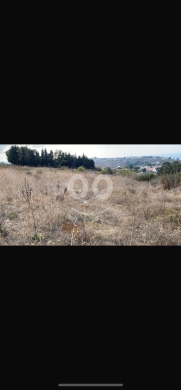 Lands for sale in Nfeisseh - للبيع ارض نفيسة مساحة ١٠٠٠ م